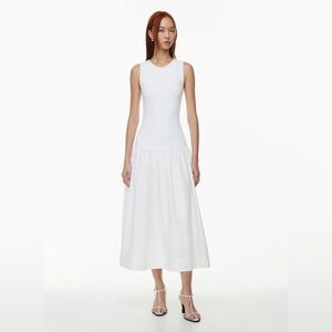 Aritzia Babaton Worldly Dress